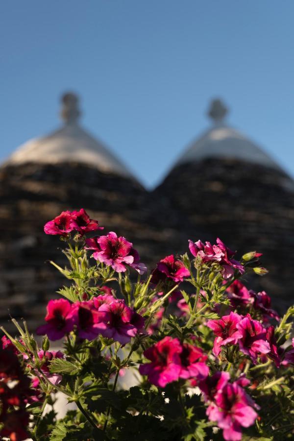 Trulli Ulivi Villa Putignano Eksteriør bilde